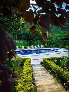 a pool in a garden with chairs and bushes at Finca Bellavista Villeta in Villeta