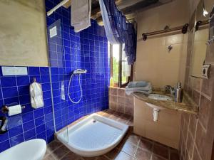 a blue tiled bathroom with a toilet and a sink at Casa Rural Ecológica Kaaño Etxea el Bosque y la Naturaleza Sentir in Arrarats