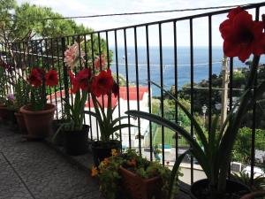 a balcony with potted plants and a view of the ocean at Le Mimose in Vietri sul Mare +76 photos