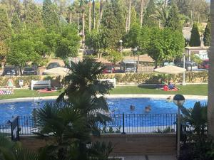 Bazén v ubytování Apartamentos Marina Park nebo v jeho okolí