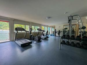 Fitness centrum a/nebo fitness zařízení v ubytování Platinum Suite & Spa