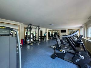 Fitness centrum a/nebo fitness zařízení v ubytování Platinum Suite & Spa