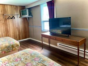 TV a/nebo společenská místnost v ubytování Valemount Hotel