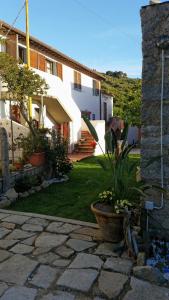 a house with a potted plant in a yard at L'Ogliera Appartamenti dell'Aia in Pomonte