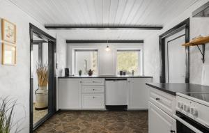 Η κουζίνα ή μικρή κουζίνα στο Nice Apartment In Ulfborg With Wifi