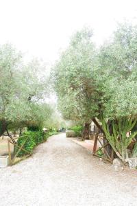 a dirt road with trees and a fence at Tenuta Maison Angelina in Formia