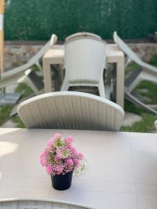 A garden outside Bóris House
