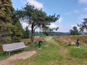 una panchina del parco seduta sull'erba accanto a un sentiero di Ferienwohnung Arendt inkl MeineCardPlus a Willingen Altre 3 foto