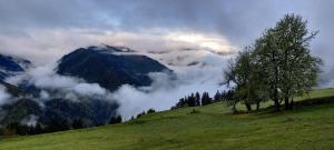 Paesaggio naturale nelle vicinanze dell'appartamento