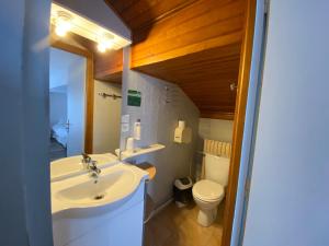 un bagno con lavandino e WC di Hôtel L'Oustalet a Font-Romeu-Odeillo-Via