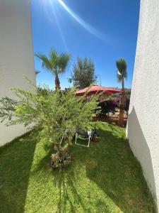 a garden with a palm tree and a chair at Luxury apartment in Asilah Marina Golf in Asilah