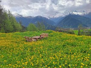 Paesaggio naturale nelle vicinanze dell'appartamento