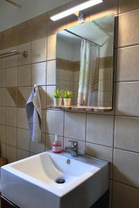 a bathroom with a sink and a mirror at Little garden house in Krinítsa