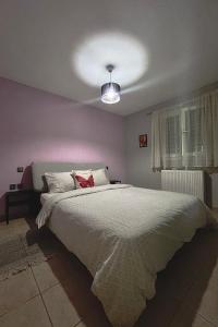 a bedroom with a large bed with a white comforter at Little garden house in Krinítsa