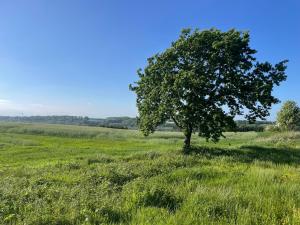 Gallery image of Kobbeldalhus in Bredsten