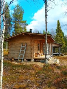 a log cabin in the woods with a ladder at Kutulammen erämökki saunalla in Ranua +47 photos