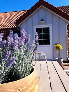 a wooden bench in front of a house with purple flowers at Ferienwohnung auf dem Mühlenhof in Glinstedt