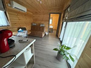 a living room of a tiny house with a couch at Casute La Poiana in Poiana cu Cetate