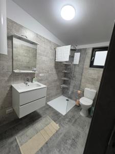 a bathroom with a sink and a shower and a toilet at Casute La Poiana in Poiana cu Cetate