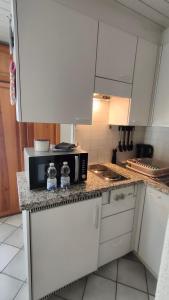Kuhinja ili čajna kuhinja u objektu Charming studio in Poschiavo