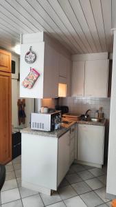Kuhinja ili čajna kuhinja u objektu Charming studio in Poschiavo
