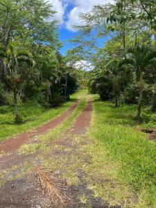 Photo de la galerie de l'établissement Lotus Lava Cottage, à Pahoa