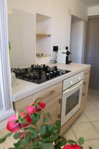 a kitchen with a stove and a counter top at Casa Susini in Pianottoli-Caldarello