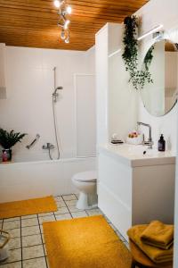a bathroom with a sink and a toilet and a mirror at Stadthaus im Altstadtkern für bis zu 8 Personen in Dingolfing +35 photos