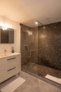 a bathroom with a shower and a sink at Appartement Stintinu - Tarra Zuria in Bonifacio