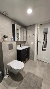 a bathroom with a toilet and a sink at BlueLoft Kaunas in Kaunas