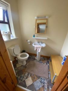 Vannituba majutusasutuses Home in Oulart, Wexford