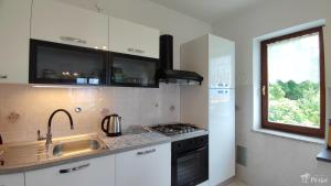 Kuchyň nebo kuchyňský kout v ubytování Apartman Peršić