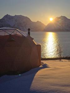 Příroda nedaleko luxury tent