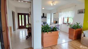 Fotografie z fotogalerie ubytování Apartman Peršić v destinaci Mošćenička Draga