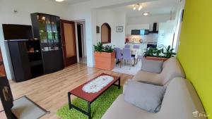 TV a/nebo společenská místnost v ubytování Apartman Peršić