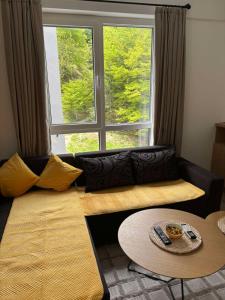 a living room with a couch and a table and a window at NINA LUX Apartment in Mavrovo