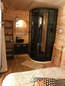 a bathroom with a shower in a room at Les chardons bleus in Formiguères