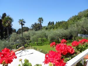 a garden with red flowers and palm trees at Albergo Blueline in Tellaro