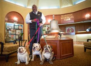 Husdjur som bor med gäster på Marines' Memorial Club & Hotel Union Square