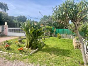 a garden with a palm tree and some flowers at LOGEMENTS ACCÈS PISCINE - T2 Résidence Serena in Cuttoli-Corticchiato