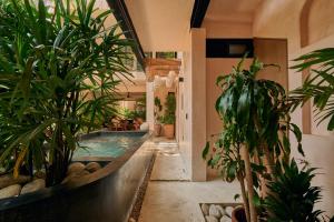 a house with a swimming pool with plants in it at Pan Beach in Brisas de Zicatela