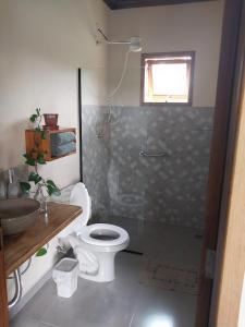 a bathroom with a shower and a toilet and a sink at Chalé com Lareira in Cunha