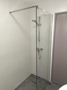 a shower with a glass door in a bathroom at Apartment Tulip in Premantura +18 photos