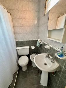 a small bathroom with a toilet and a sink at complejo 25 de mayo in Guaymallen +14 photos