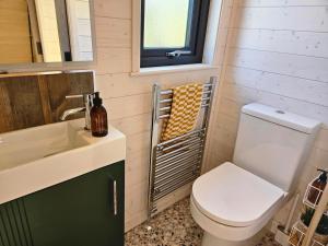 a small bathroom with a toilet and a sink at Briarfield Farm Stays - Coillte Cabin in Glenarm +12 photos