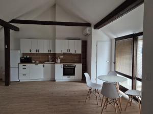 Kuchyň nebo kuchyňský kout v ubytování Apartmán Hugo