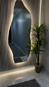 ‘Aryamにあるاستديو انيق بمدخل خاصの鉢植えの鏡