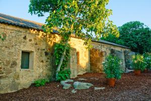 a stone building with a tree in front of it at Casa Rural Castillo de Cáceres in Cáceres