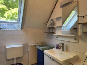ein Badezimmer mit Waschbecken, Toilette und Spiegel in der Unterkunft Apartment in Kellerwald near Edersee Lake in Frankenau + 20 Fotos