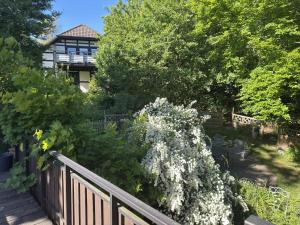 Ein Garten an der Unterkunft Apartment in Kellerwald near Edersee Lake